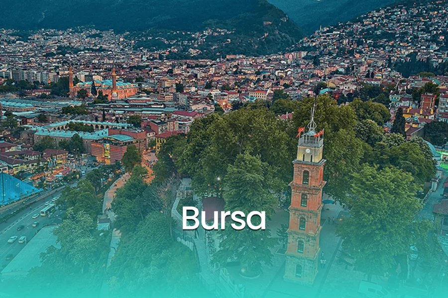 bursa